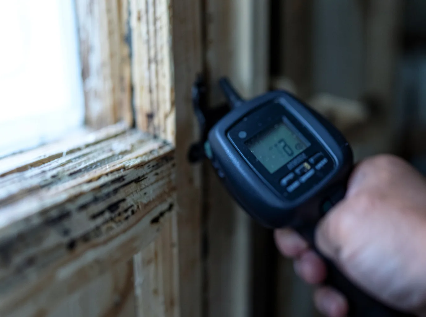 Ceiling Water Damage Repair in Alvarado, MN